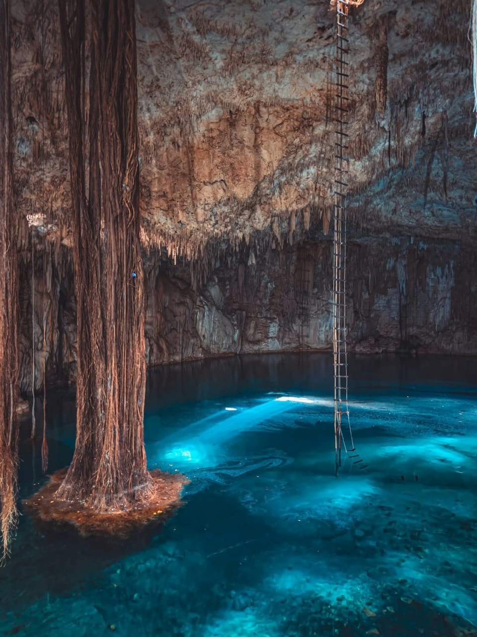 Interior del Cenote Cháachab — raíces y aguas turquesa